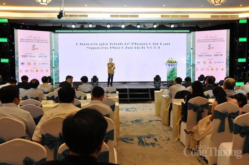 Chuyên gia kinh tế Phạm Chi Lan, phân tích về tình hình kinh tế tại hội nghị.