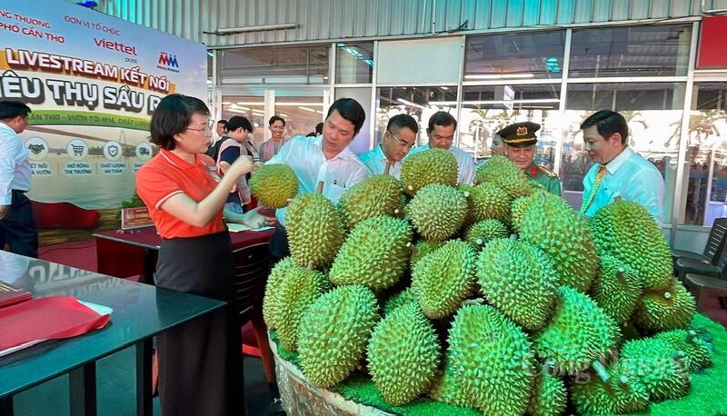Các đại biểu tham quan gian hàng trưng bày sầu riêng tại chương trình.