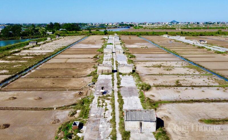 Di tengah terik matahari yang melebihi 40 derajat Celcius pada akhir Mei, ladang garam di komune Hoa Loc, provinsi Thanh Hoa, tampak seperti 
