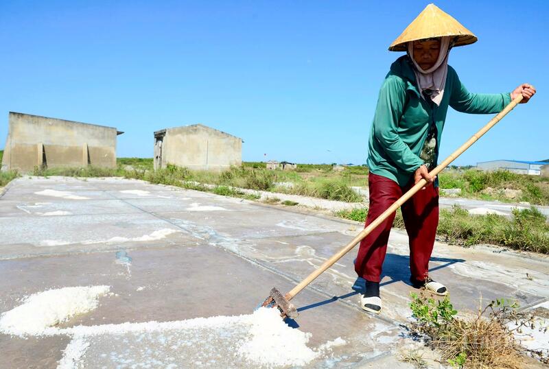 Di tengah hari, ketika matahari terik menyinari ladang garam, banyak petani garam masih belum bisa beristirahat. Suara gemerisik alat penggaruk garam, bercampur dengan suara angin laut, menciptakan ritme kerja yang familiar di pedesaan pesisir ini. Foto: Quoc Anh