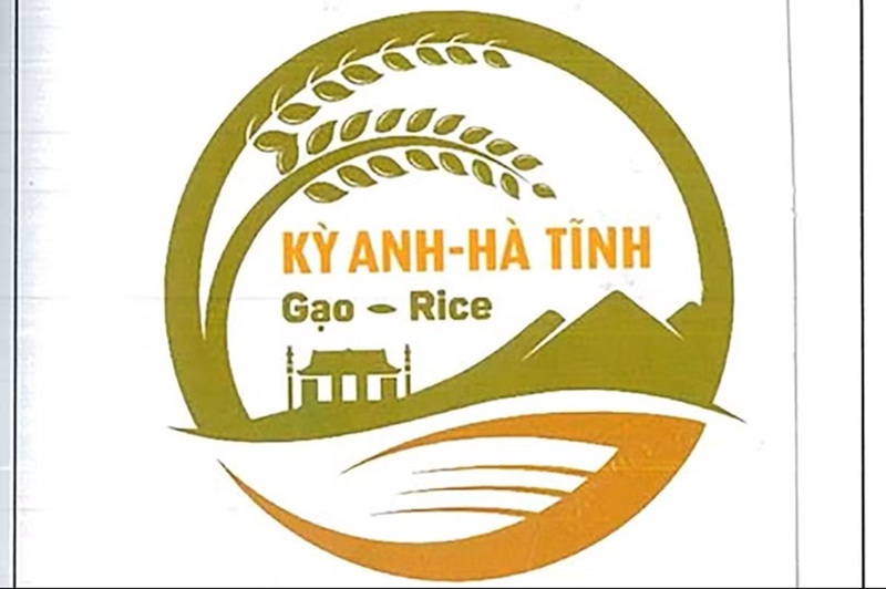 Xây thương hiệu gạo Kỳ Anh, đòn bẩy kinh tế nông thôn Hà Tĩnh - 1