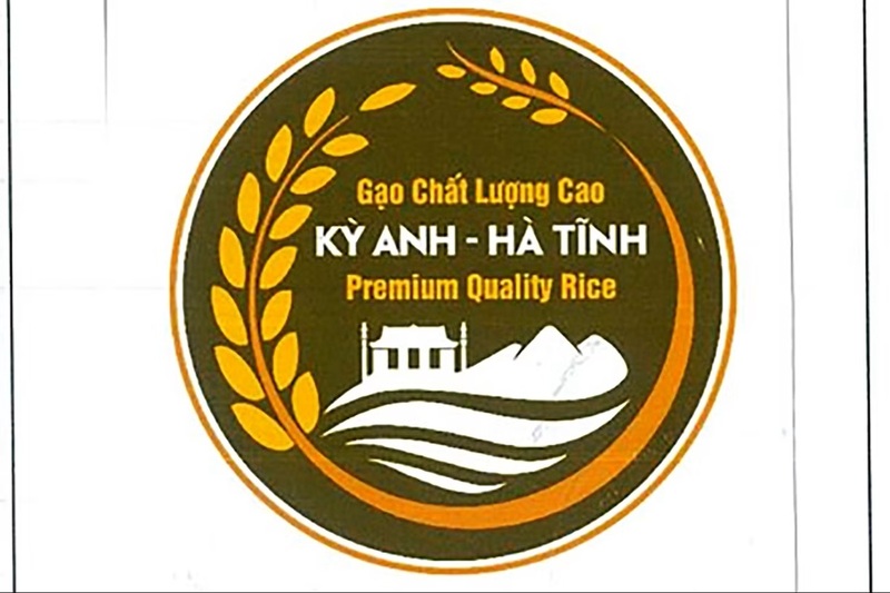 Xây thương hiệu gạo Kỳ Anh, đòn bẩy kinh tế nông thôn Hà Tĩnh - 2