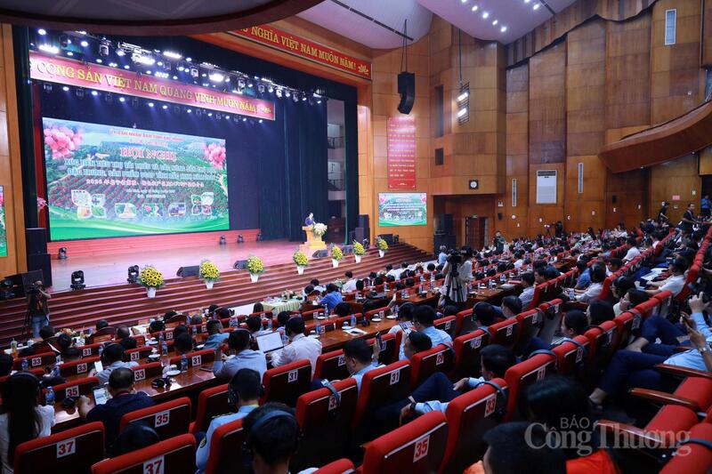 Hội nghị có sự tham dự của đông đảo các địa phương, đối tác trong và ngoài nước. Ảnh: Đăng Khoa