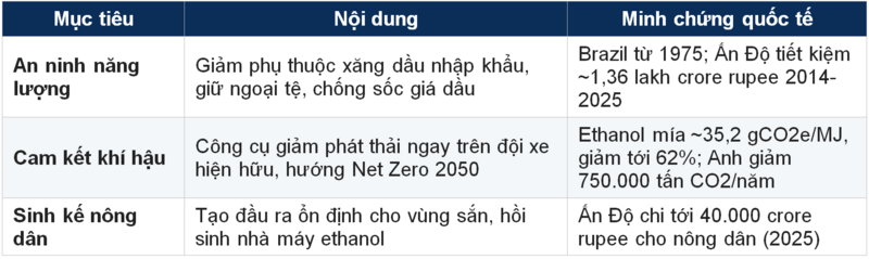Bảng 4.1. Ba mục tiêu chiến lược của chính sách E10.