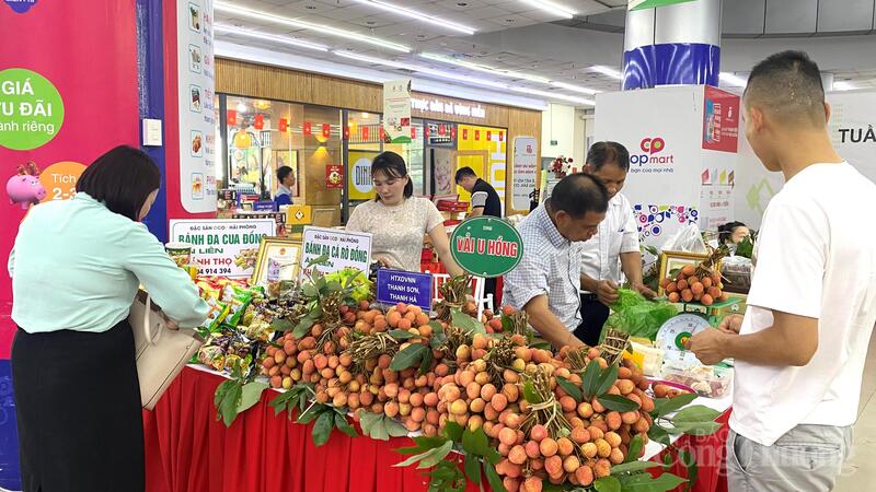 Khách hàng mua sắm tại siêu thị Co.opmart Hải Phòng.