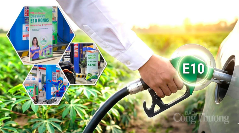 Đảng, Chính phủ sớm ban hành chủ trương, chính sách phát triển nhiên liệu sinh học. Ảnh minh hoạ: Quỳnh Nga