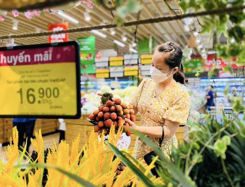 Vải Thanh Hà được phân phối tại hơn 800 điểm bán thuộc hệ thống Saigon Co.op trên toàn quốc với nhiều ưu đãi hấp dẫn, góp phần lan tỏa giá trị nông sản Việt đến người tiêu dùng.