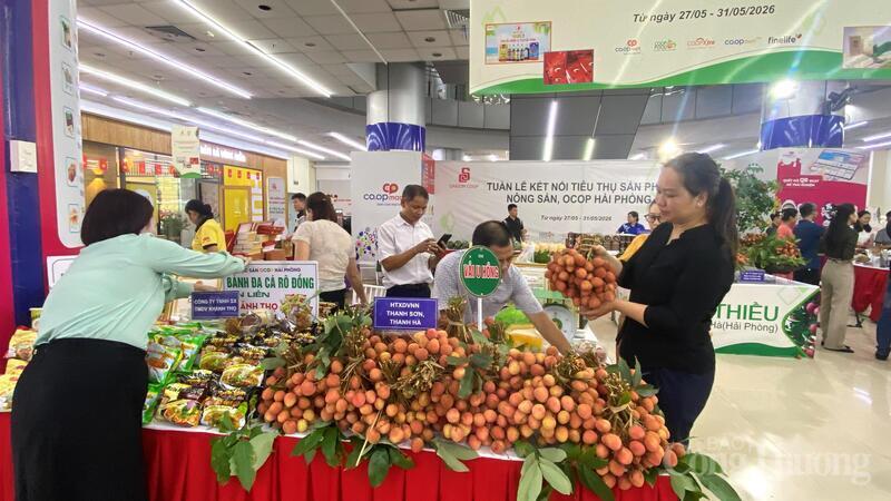 Saigon Co.op đưa 300 tấn vải Thanh Hà vào hệ thống siêu thị và được phân phối rộng rãi tại hơn 800 điểm bán trên toàn quốc.