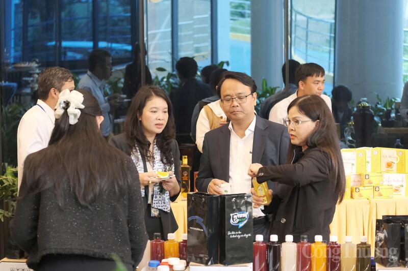 Lâm Đồng định hình cực tăng trưởng mới từ công nghiệp bô xít - alumin và năng lượng xanh - 12