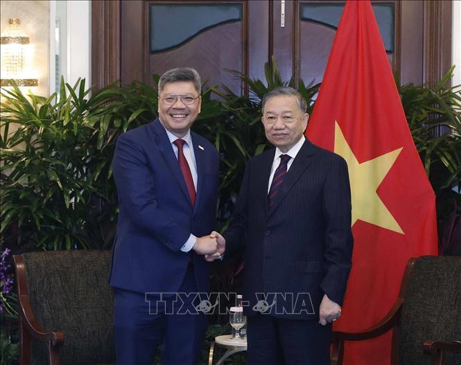Tổng Bí thư, Chủ tịch nước Tô Lâm tiếp ông Bob Chi, Tổng giám đốc điều hành Công ty SATS. Ảnh: Thống Nhất/TTXVN
