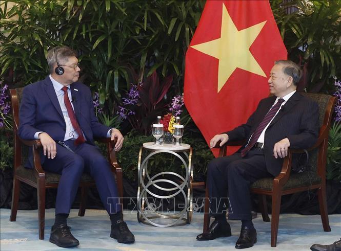 Tổng Bí thư, Chủ tịch nước Tô Lâm tiếp ông Bob Chi, Tổng giám đốc điều hành Công ty SATS. Ảnh: Thống Nhất/TTXVN