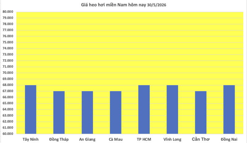 Giá heo hơi hôm nay 30/5/2026: Miền Bắc, miền Trung tiếp tục giảm nhẹ - 3