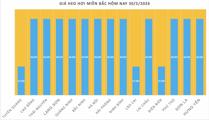 Giá heo hơi hôm nay 30/5/2026: Miền Bắc, miền Trung tiếp tục giảm nhẹ - 1