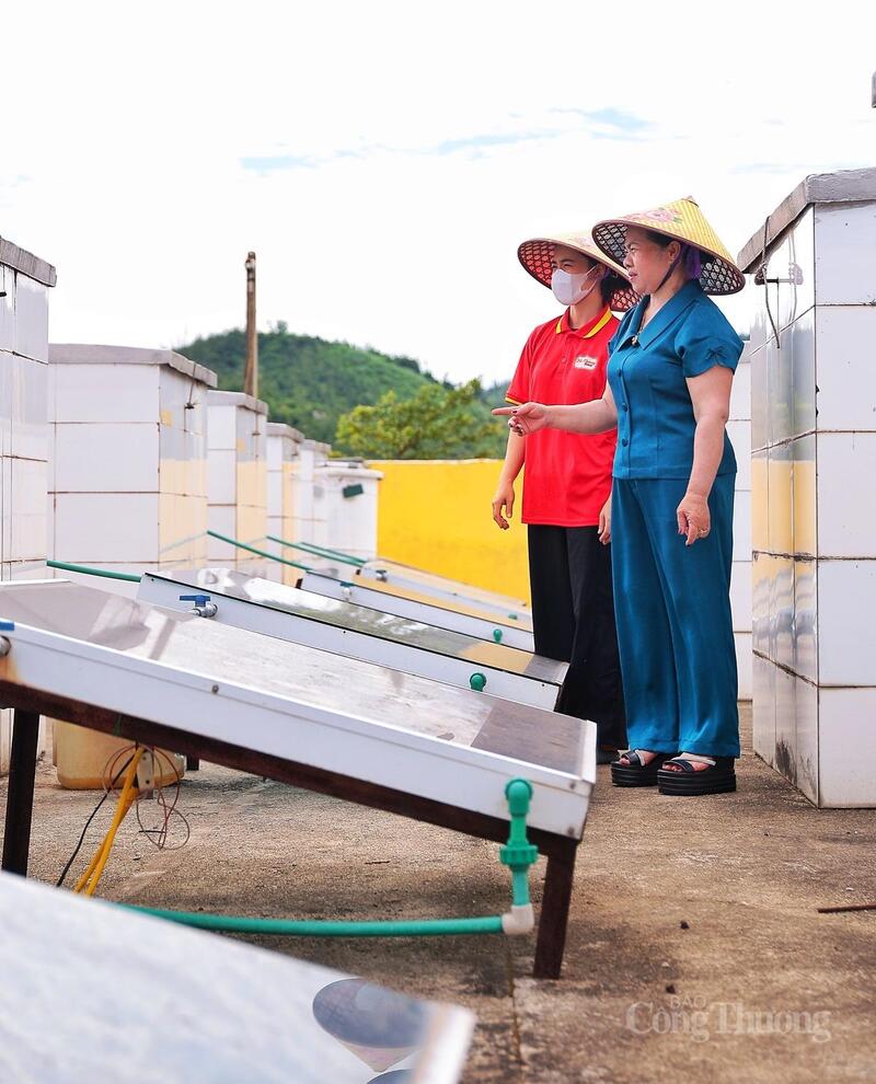 HTX đang sở hữu hệ thống 200 bệ nước mắm sử dụng các tấm thu năng lượng mặt trời tự động đảo. Ảnh: Trọng Tùng