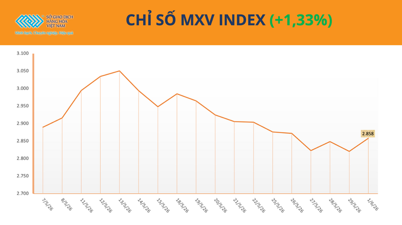 Chỉ số MXV-index