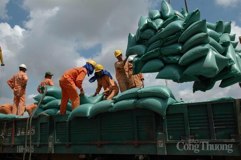 Cơ hội rộng mở cho gạo Việt tại Đức. Ảnh minh họa: Cấn Dũng