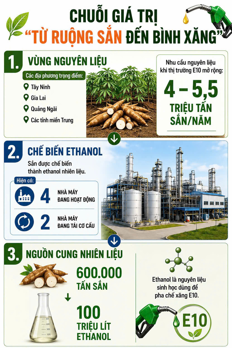Infographic | Chuỗi giá trị 'Từ ruộng sắn đến bình xăng' - 1