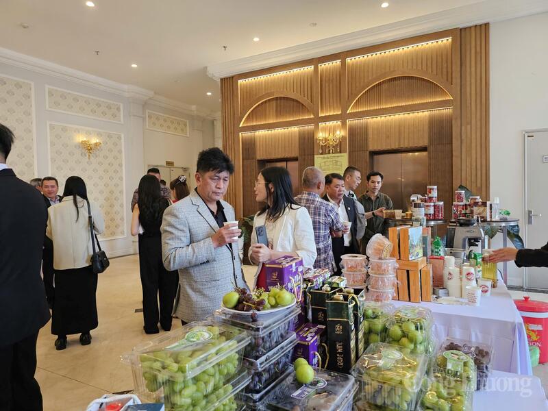 Các sản phẩm OCOP được trừng bày tại chương trình. Ảnh: Lê Sơn