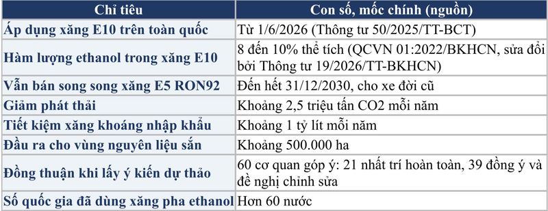 Xăng E10 và sự thật sau 'lớp sương mù' tin đồn - 3