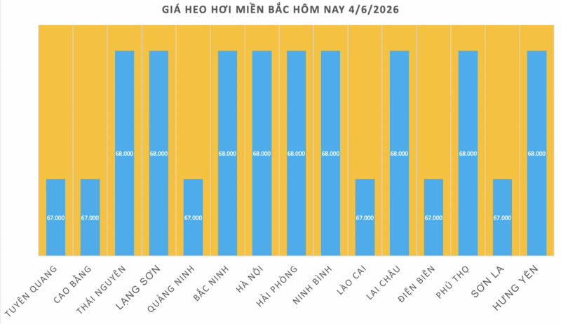Giá heo hơi hôm nay 4/6/2026: Tiếp tục đi ngang, cao nhất 68.000 đồng - 1