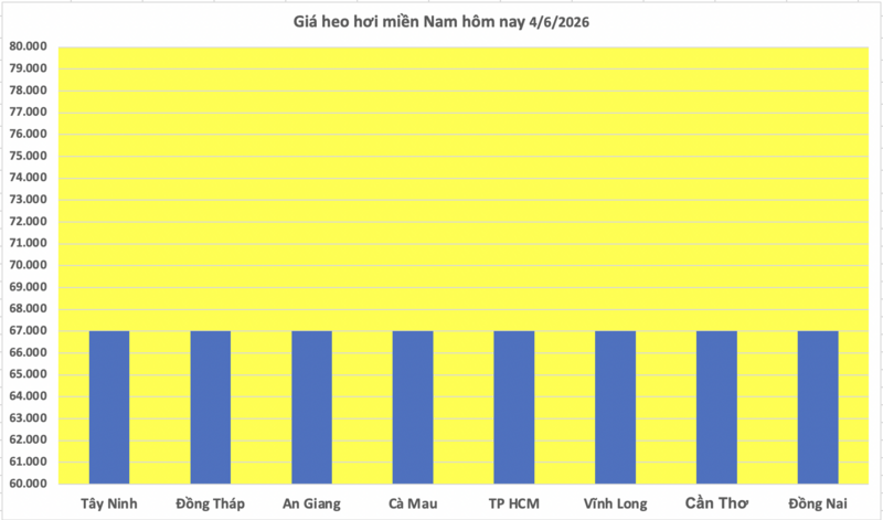 Giá heo hơi hôm nay 4/6/2026: Tiếp tục đi ngang, cao nhất 68.000 đồng - 3