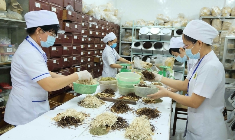 Thuốc y học cổ truyền hiện chỉ chiếm hơn 5% tổng chi thuốc bảo hiểm y tế, thấp hơn nhiều so với tân dược - Ảnh minh họa