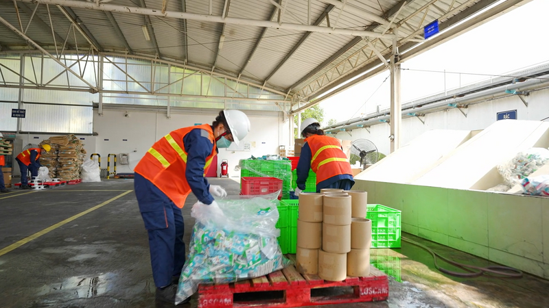 Các giải pháp phân loại và tái chế bao bì được FrieslandCampina Việt Nam triển khai tại nhà máy.