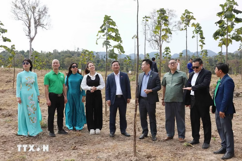 Đại sứ Việt Nam tại Lào Nguyễn Minh Tâm và lãnh đạo tỉnh Khammouane thăm và kiểm tra một dự án nông nghiệp của doanh nghiệp Việt Nam tại địa phương. Ảnh: Xuân Tú/TTXVN