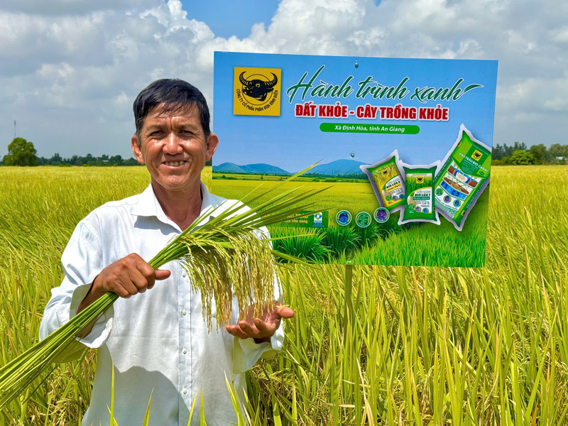 Nông dân xã Định Hòa (An Giang) phấn khởi trước ruộng lúa đạt năng suất, chất lượng cao nhờ áp dụng giải pháp canh tác đất khỏe, cây trồng khỏe.