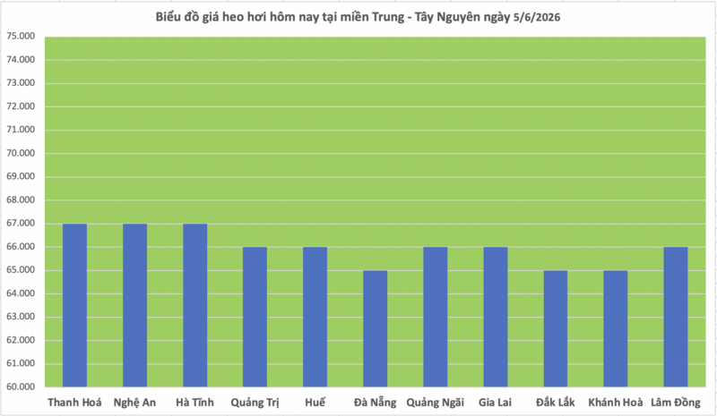 Giá heo hơi hôm nay 5/6/2026: Giảm đồng loạt tại miền Trung, miền Nam - 2