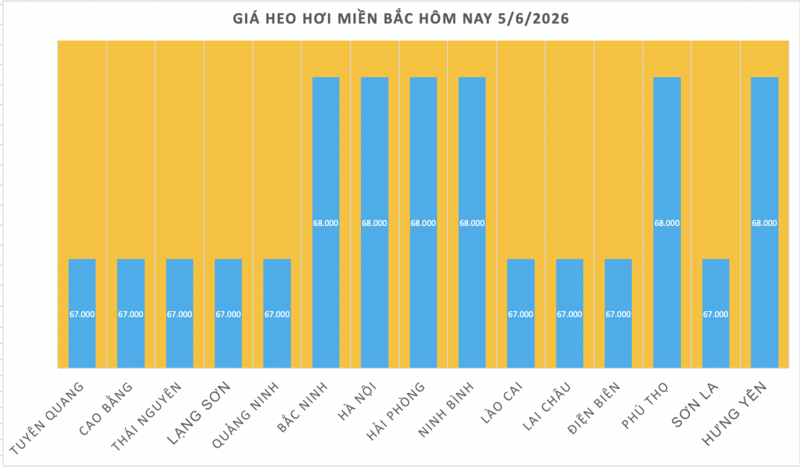 Giá heo hơi hôm nay 5/6/2026: Giảm đồng loạt tại miền Trung, miền Nam - 1