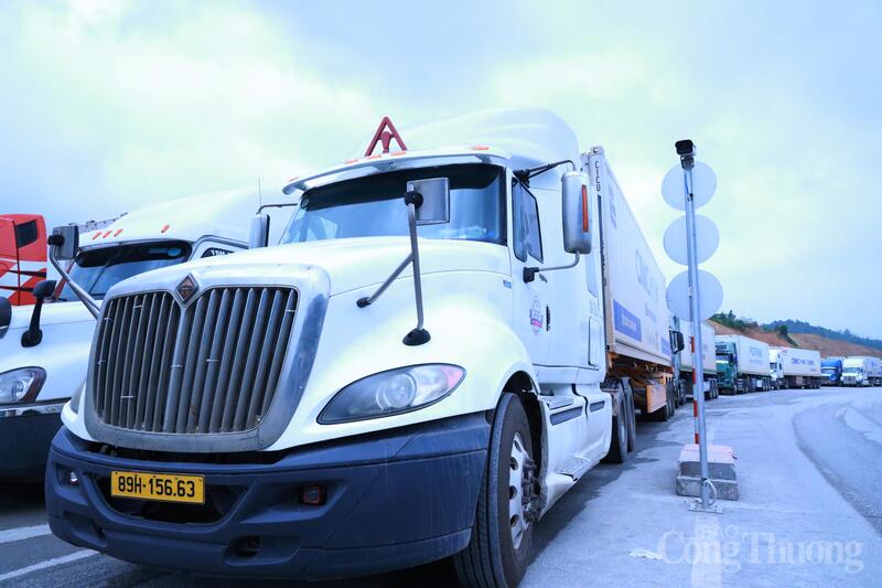 Từ sáng sớm, hàng dài xe container chở hoa quả xuất khẩu nối đuôi nhau di chuyển qua đường chuyên dụng sáu làn xe.