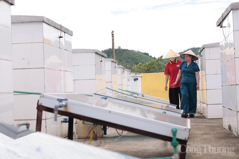 Doanh nghiệp Hà Tĩnh được nâng cao nhận thức về năng suất chất lượng, hệ thống quản lý tiên tiến và công cụ cải tiến cũng được định hướng tăng từ 08% - 10%. Ảnh: Trọng Tùng