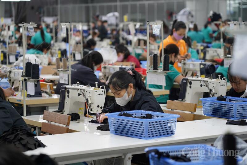 Bên cạnh hỗ trợ doanh nghiệp, Hà Tĩnh tập trung phát triển nguồn nhân lực chất lượng cao phục vụ cho thị trường lao động. Ảnh: Trọng Tùng