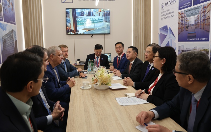 Phó Thủ tướng Thường trực Phạm Gia Túc tiếp Nhà sáng lập Quỹ đầu tư AFK Systema Evtushenkov - Ảnh: VGP/Phương Nguyên