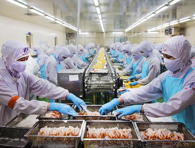 Trong 5 tháng đầu năm 2026, kim ngạch xuất khẩu thủy sản của Cà Mau đạt 900,66 triệu USD, bằng 35,18% kế hoạch, tăng 7,48% so với cùng kỳ. Ảnh: Mỹ Hạnh