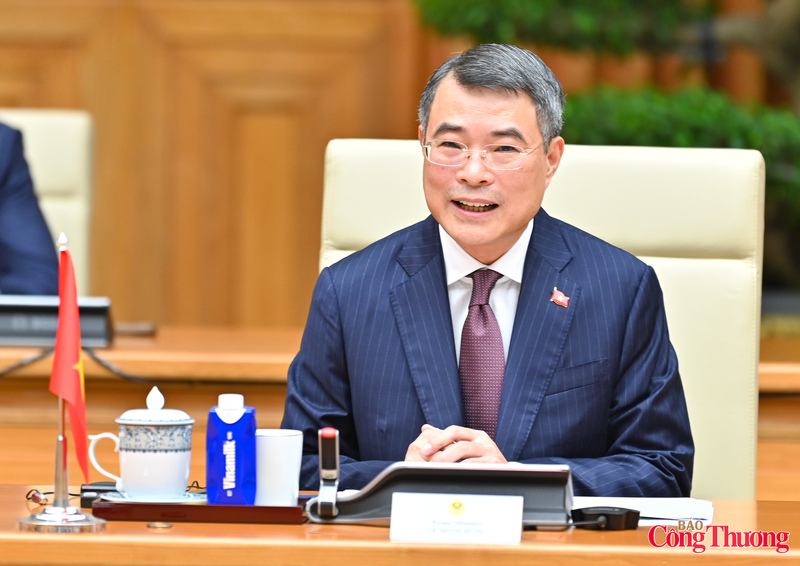 Thủ tướng Chính phủ Lê Minh Hưng phát biểu tại hội đàm.