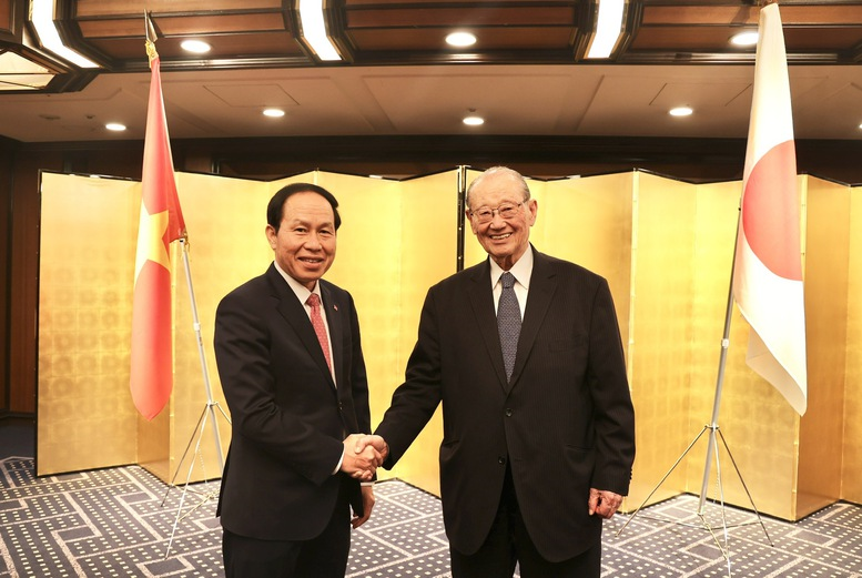 Phó Thủ tướng Chính phủ Lê Tiến Châu tiếp ông Matsuzawa Ken, Chủ tịch điều hành Hội đồng Thúc đẩy ngoại giao nhân dân Nhật Bản (FEC) - Ảnh: VGP/Thu Sa