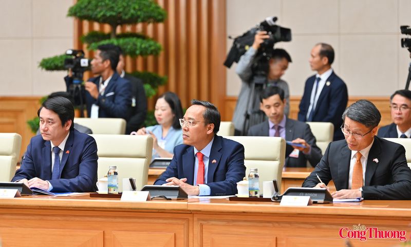 Thứ trưởng Bộ Công Thương Nguyễn Hoàng Long cùng đại diện Chính phủ Việt Nam tại hội đàm.