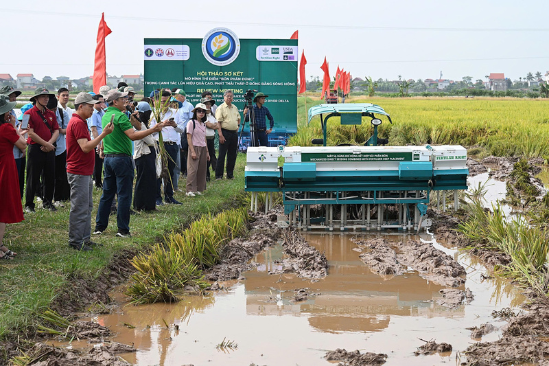Mô hình canh tác lúa sử dụng phân bón đúng, hiệu quả cao và phát thải thấp tại Hợp tác xã Hữu Chung (xã Tân An, thành phố Hải Phòng). Ảnh: Bảo Thắng