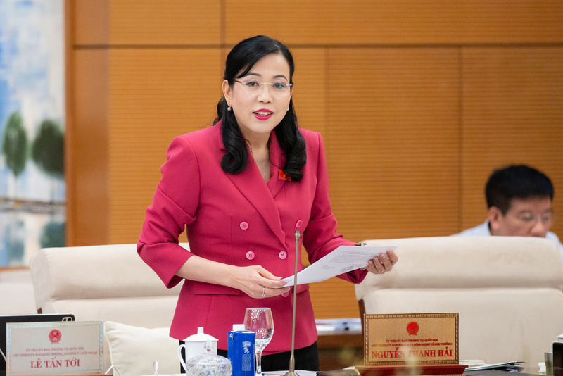 Chủ nhiệm Ủy ban Khoa học, Công nghệ và Môi trường của Quốc hội Nguyễn Thanh Hải cho ý kiến về báo cáo công tác dân nguyện của Quốc hội tháng 5/2026. Ảnh: Lâm Hiển