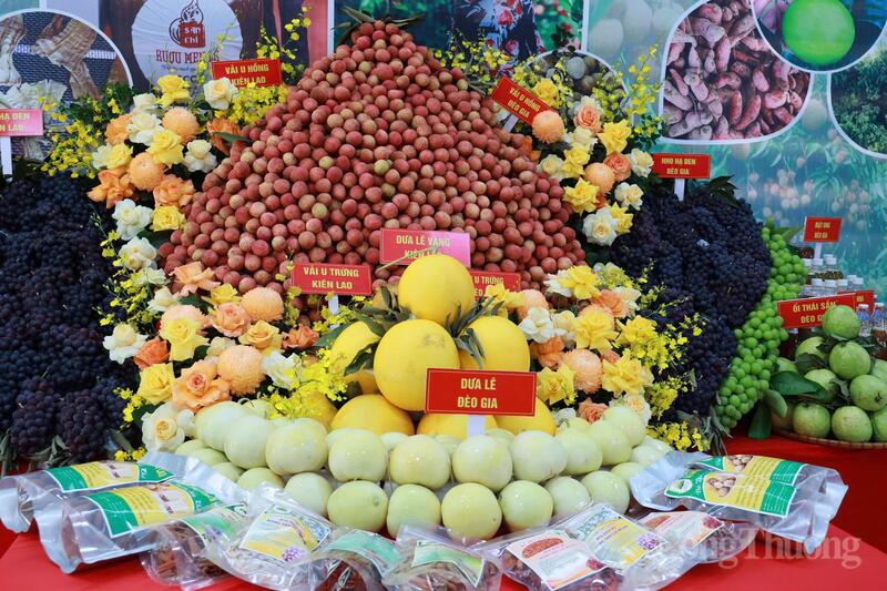 Vải thiều Bắc Ninh không chỉ là cây trồng chủ lực mang lại giá trị kinh tế cao mà còn là biểu tượng của nền nông nghiệp chất lượng cao. Ảnh: Trần Khoa