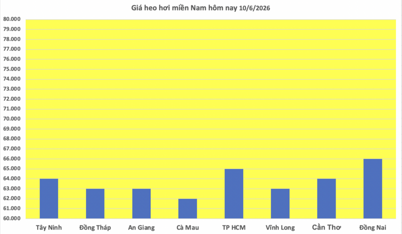 Giá heo hơi hôm nay 10/6/2026: Giảm nhẹ vài nơi - 3