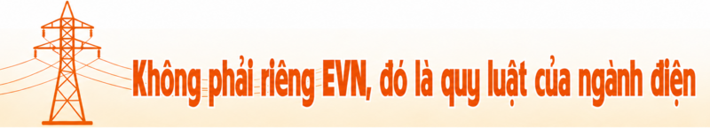 Tài chính điện lực dưới ánh sáng an ninh năng lượng-Bài 1: Đừng đọc EVN bằng một con số - 9