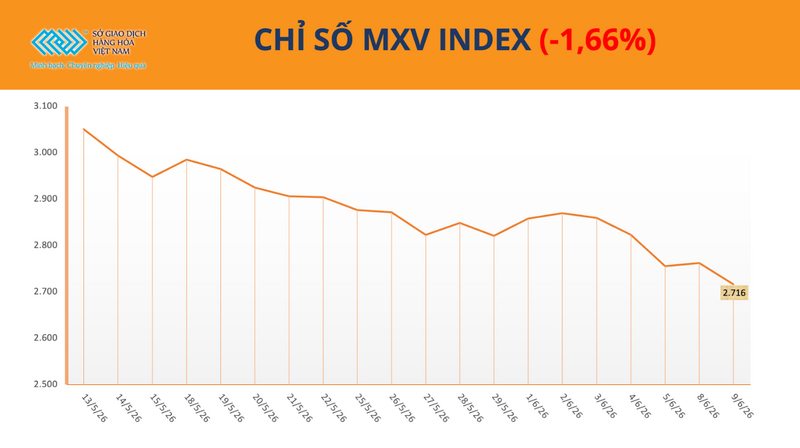 Chỉ số MXV-Index. Nguồn: MXV
