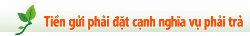 Tài chính điện lực dưới ánh sáng an ninh năng lượng-Bài 1: Đừng đọc EVN bằng một con số - 2