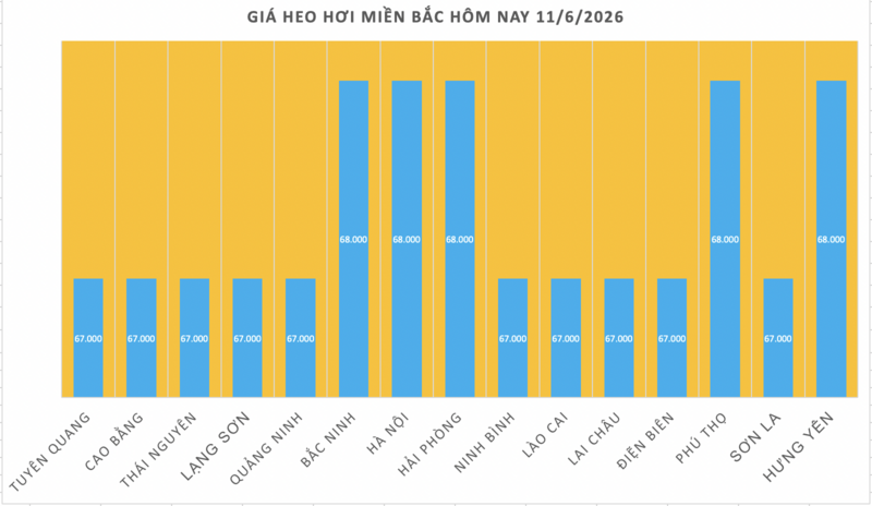 Giá heo hơi hôm nay 11/6/2026: Đi ngang trên cả nước - 1