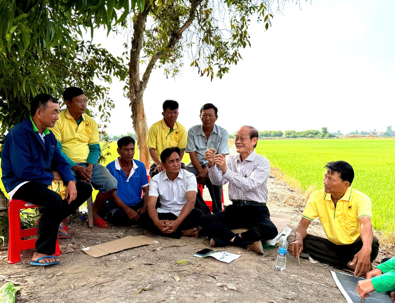 Chuyên gia chương trình “Hành trình xanh - Đất khỏe - Cây trồng khỏe” đang trao đổi, hướng dẫn kỹ thuật cải tạo đất phèn và chăm sóc rễ lúa cho ông Nguyễn Trung Phấn cùng các nông dân tại bờ ruộng.