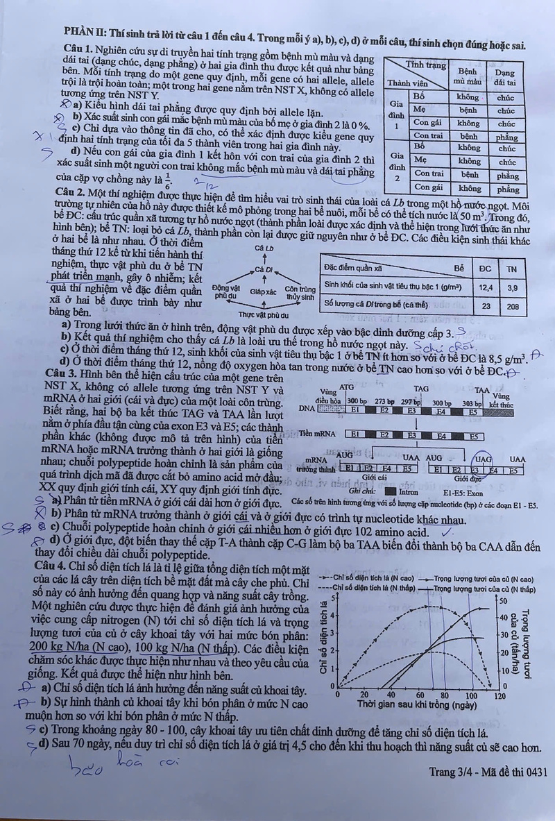 Đề thi các môn Lý, Hóa, Sinh kỳ thi tốt nghiệp THPT 2026 - 7