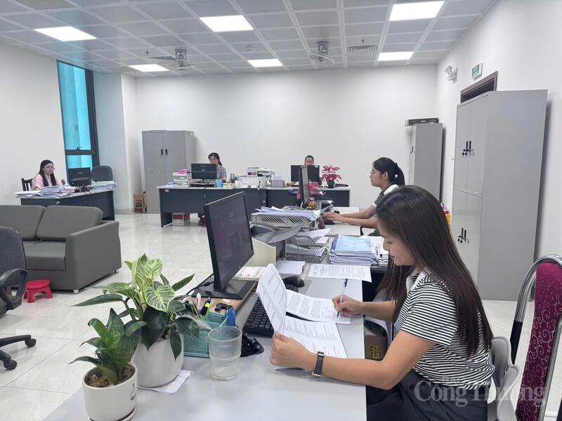 Tại Sở Công Thương tỉnh Cao Bằng, hệ thống phần mềm đánh giá cán bộ, công chức được vận hành từ ngày 15/8/2025. Ảnh: Lê Hà